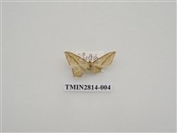 藏品(尺蛾443)的圖片